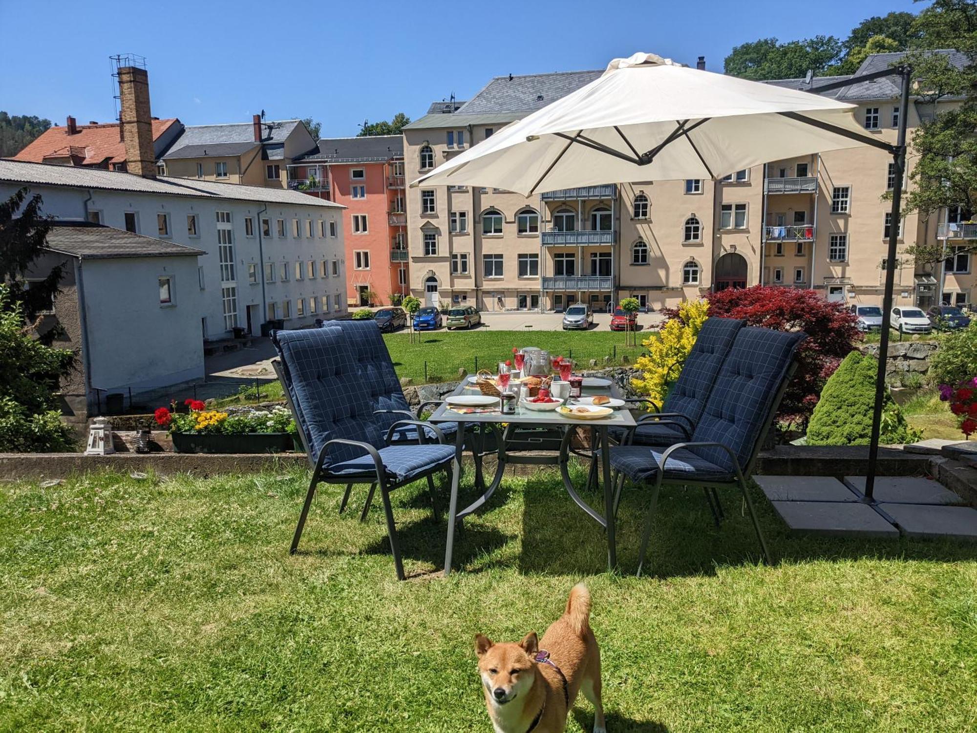 F2 - Urlaubsmagie Sauna, Whirlpool, Pool & Garten Sebnitz Exteriör bild