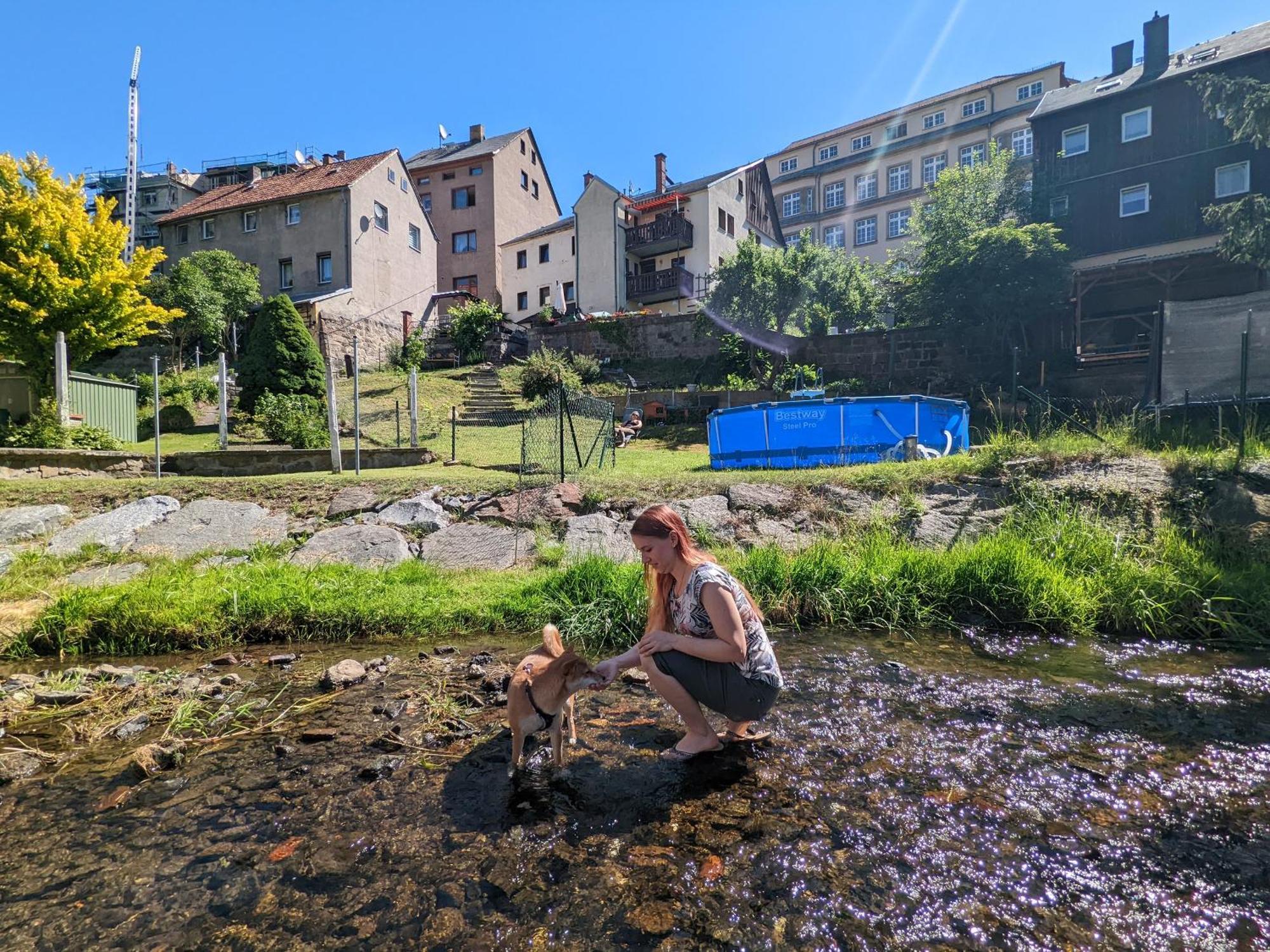 F2 - Urlaubsmagie Sauna, Whirlpool, Pool & Garten Sebnitz Exteriör bild
