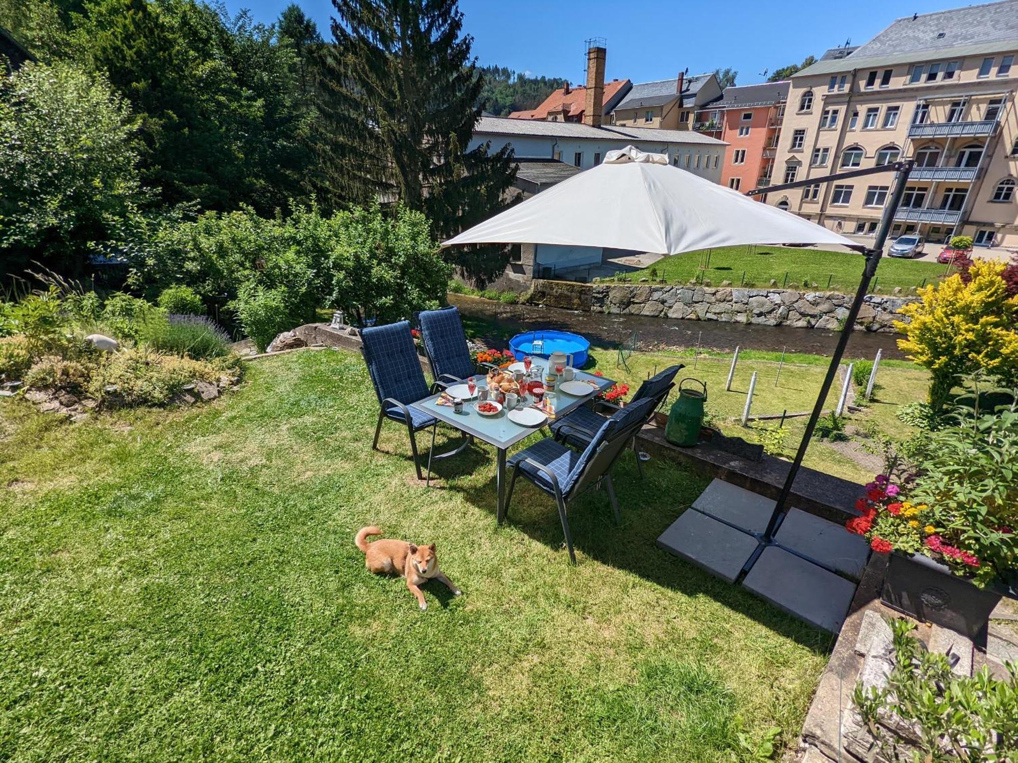 F2 - Urlaubsmagie Sauna, Whirlpool, Pool & Garten Sebnitz Exteriör bild