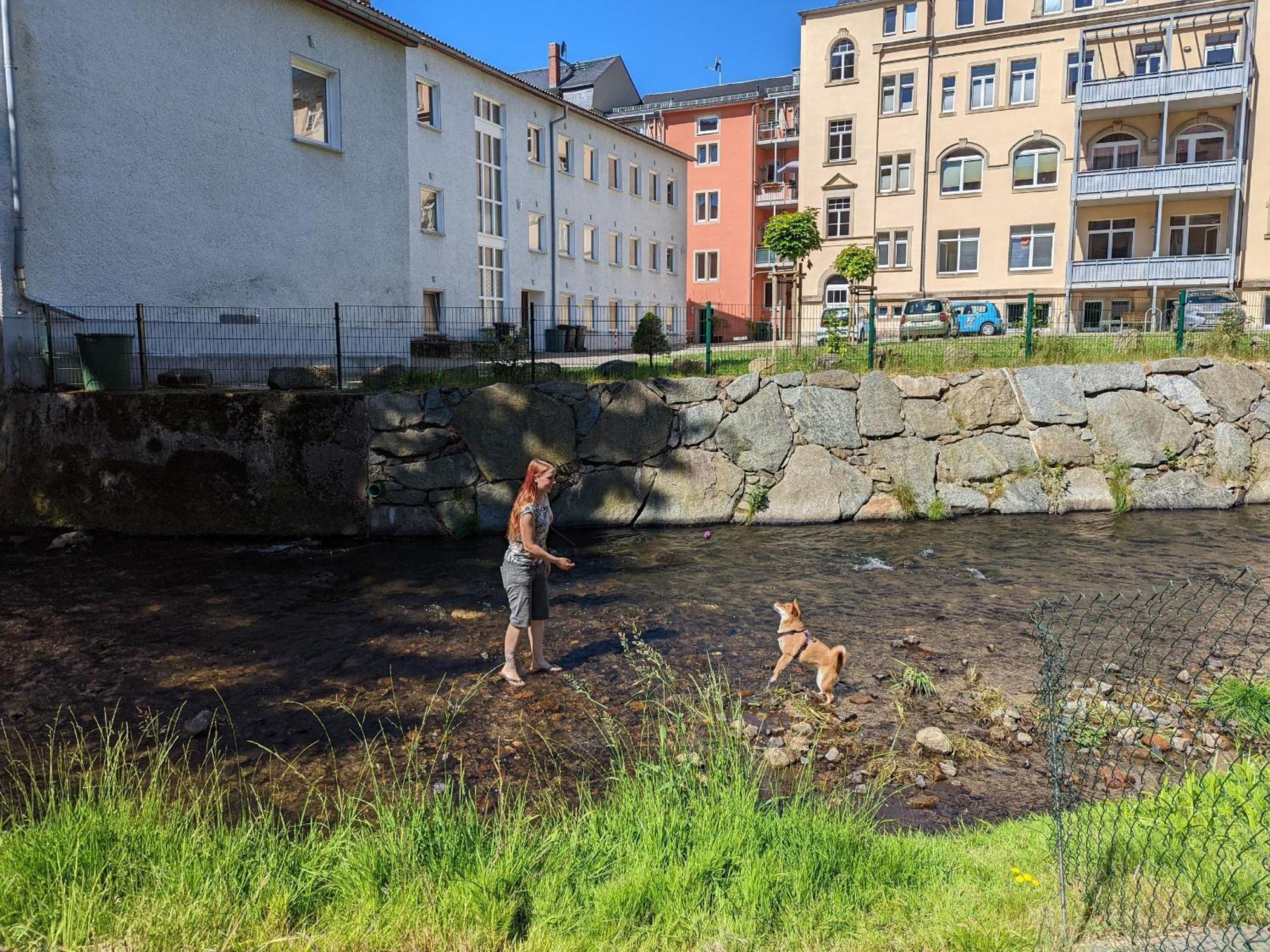 F2 - Urlaubsmagie Sauna, Whirlpool, Pool & Garten Sebnitz Exteriör bild