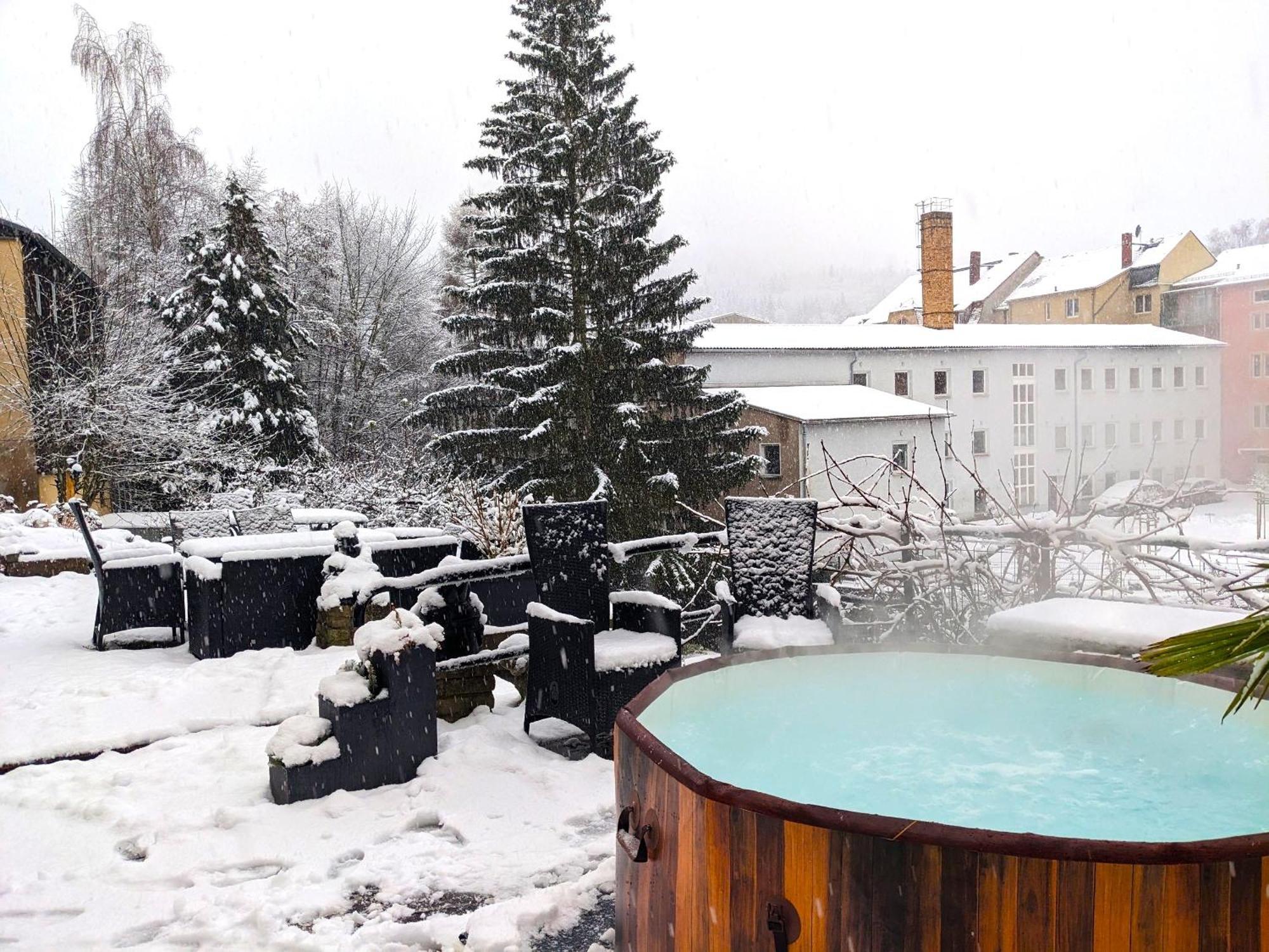 F2 - Urlaubsmagie Sauna, Whirlpool, Pool & Garten Sebnitz Exteriör bild