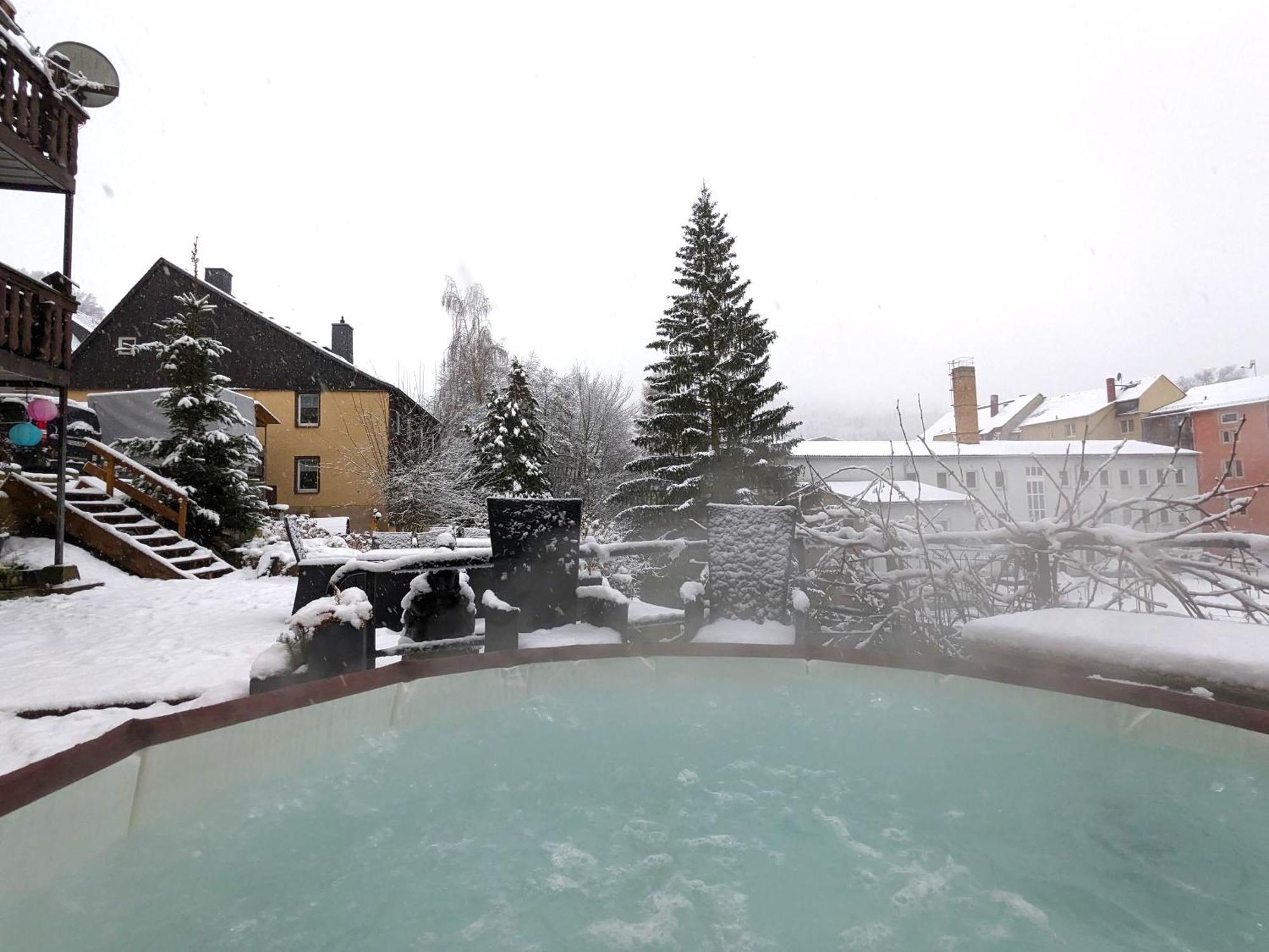 F2 - Urlaubsmagie Sauna, Whirlpool, Pool & Garten Sebnitz Exteriör bild
