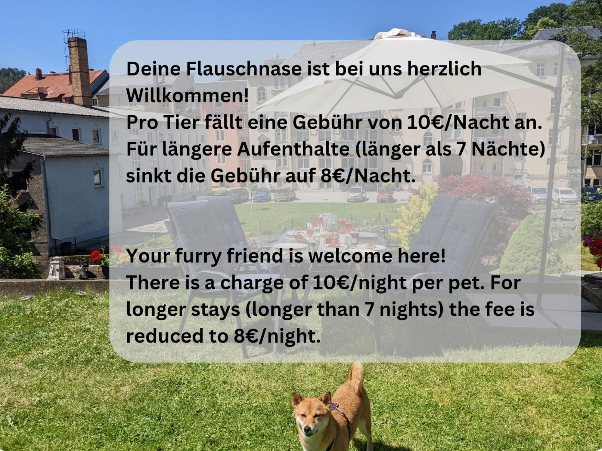 F2 - Urlaubsmagie Sauna, Whirlpool, Pool & Garten Sebnitz Exteriör bild